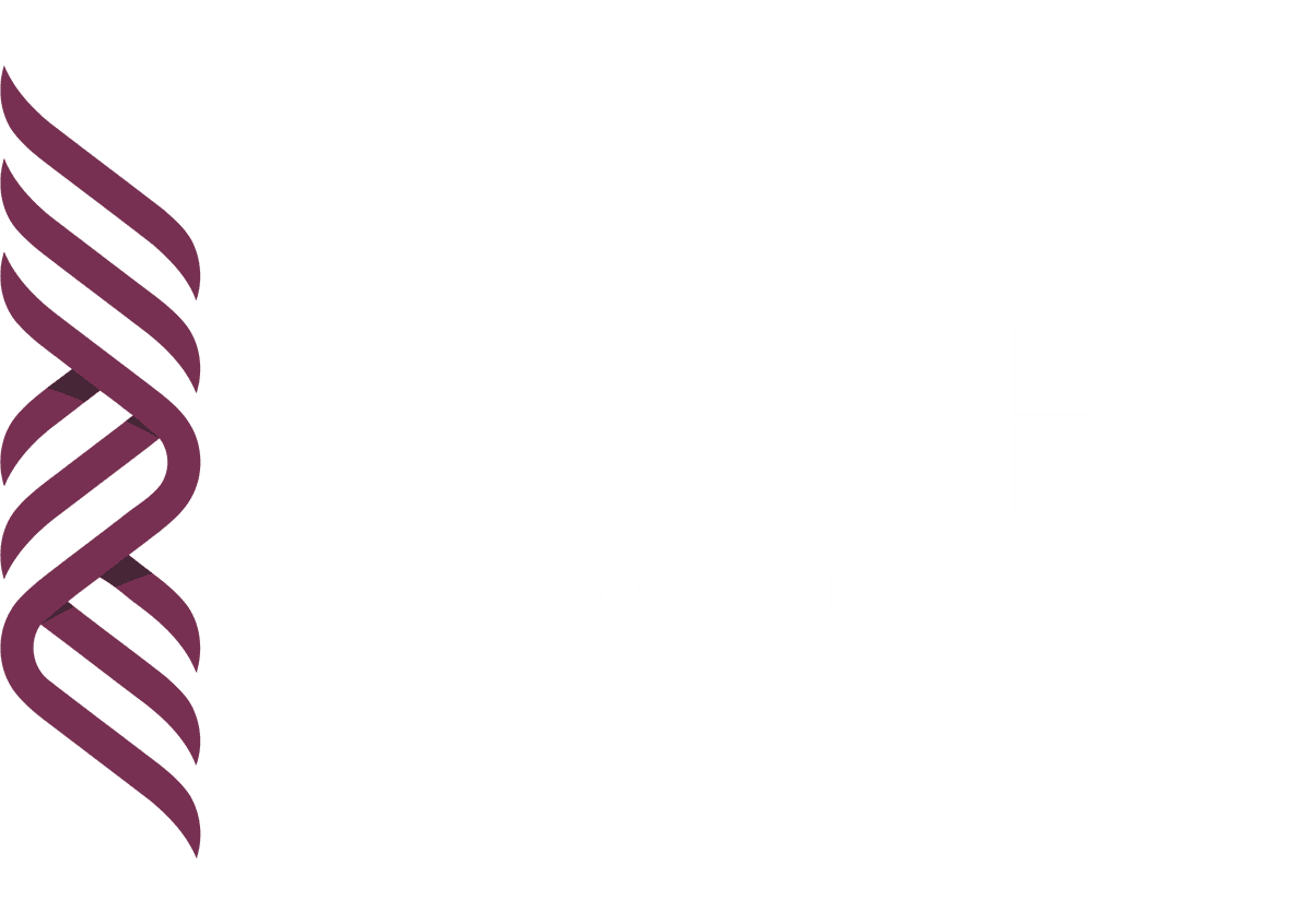 light logo